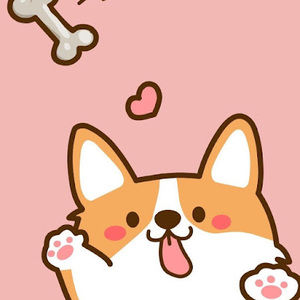 Meet your Posher, The puppy